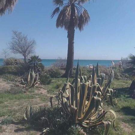 Studio Port Fréjus Kültér fotó