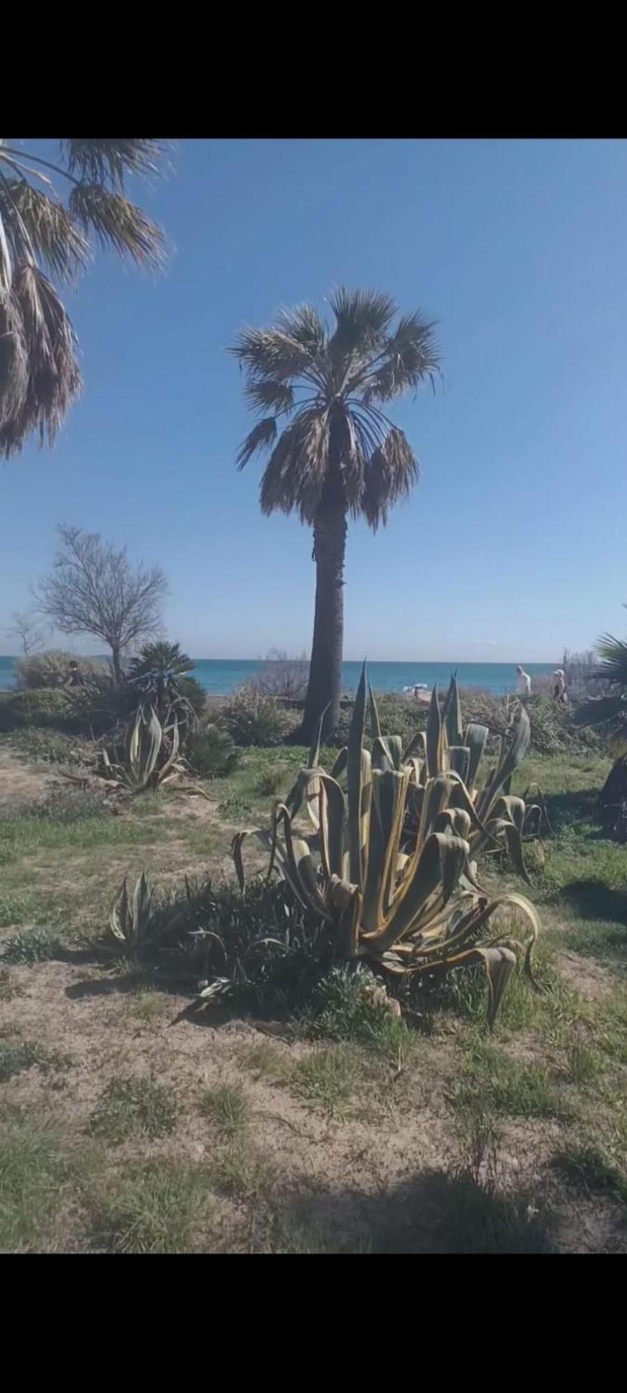 Studio Port Fréjus Kültér fotó
